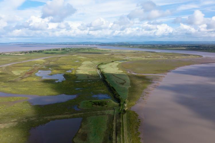 Somerset saltmarsh